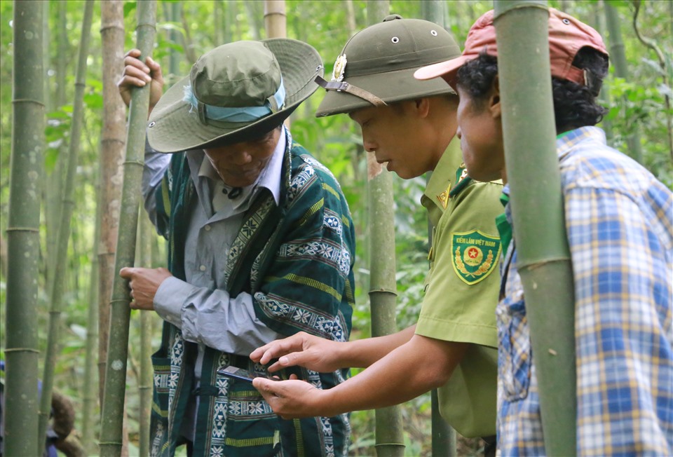 Với mỗi chuyến tuần tra rừng có sự phối hợp với cán bộ kiểm lâm, các cây rừng có đường kính lớn sẽ được đánh dấu ở bản đồ để tiện quản lý. Điểm đặc biệt thôn Chênh Vênh, là 80 hộ dân được giao quản lý gần 1.000ha rừng nhưng không có bất kỳ khoản hỗ trợ nào.
