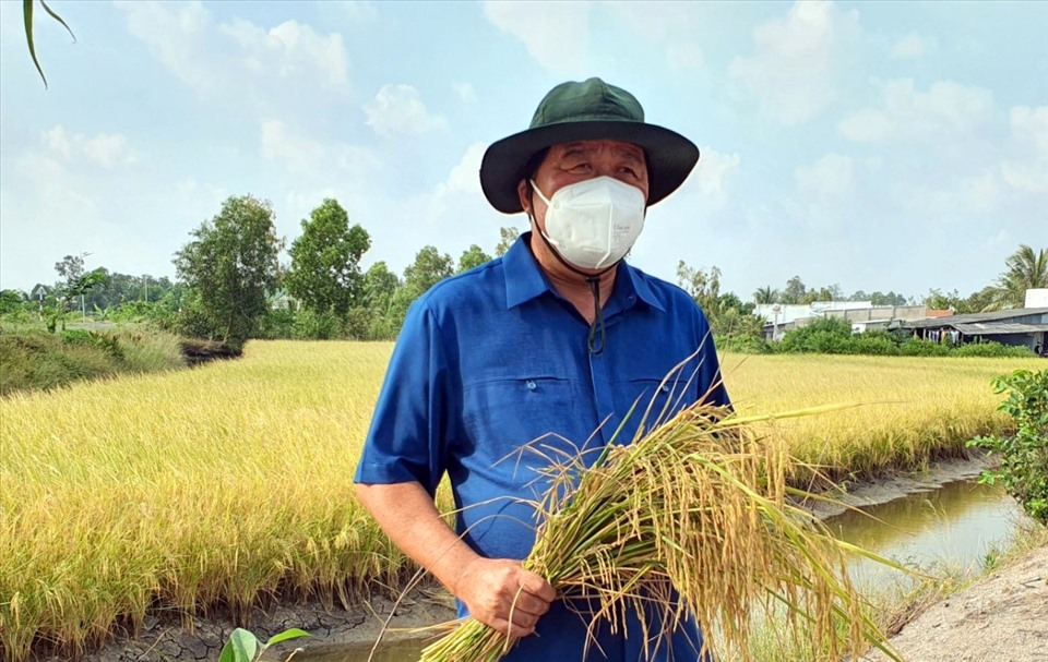 Ông Đỗ Minh Thắng, Chủ tịch UBND thị xã Giá Rai, tỉnh Bạc Liêu bên mô hình lúa thơm - tôm sạch. Ảnh: Nhật Hồ