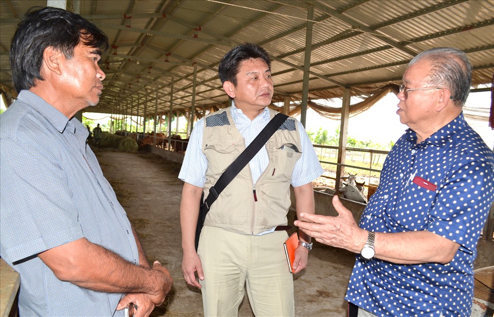 GS.TS Võ Tòng Xuân cùng chuyên gia Nhật Bản thăm trang trại bò của nông dân Nguyễn Lợi Đức ở tỉnh An Giang. Ảnh: LT