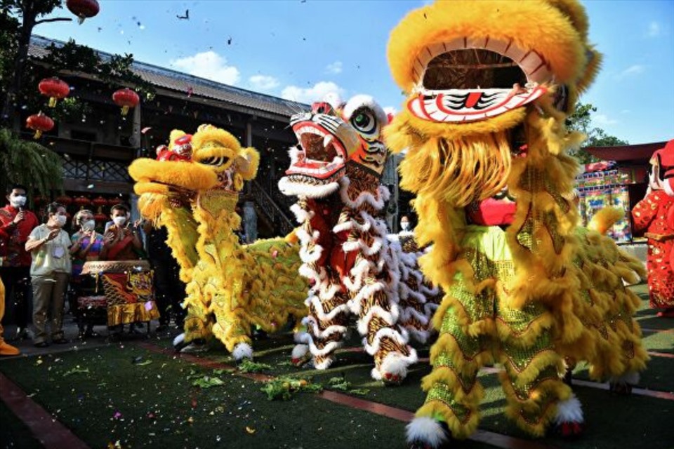 Các vũ công hóa trang thành sư tử biểu diễn trong lễ kỷ niệm Tết Nguyên đán sắp tới ở Bangkok, Thái Lan. Ảnh: AFP