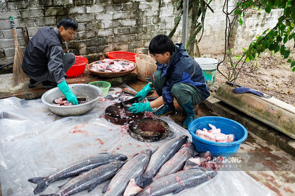 Cá kho làng Vũ Đại được sử dụng cá trắm đen, từ 4 - 5kg để chế biến, dùng niêu đất và củi nhãn để đun nấu.