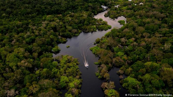 Rừng Amazon. Ảnh: AFP