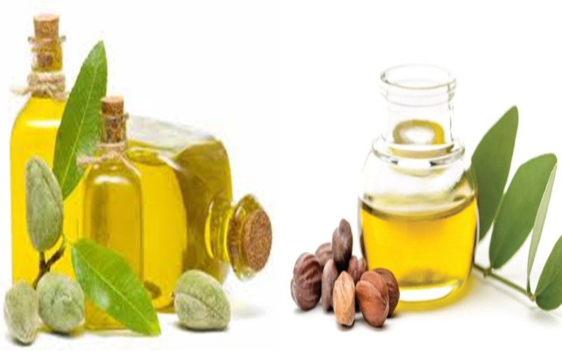 Dầu Jojoba: Dầu jojoba giúp giữ ẩm và tăng cường sự hấp thụ các chất dinh dưỡng cho da của bạn. Nó có đặc tính chống oxy hóa, chống lại tác hại của các gốc tự do và ngăn ngừa lão hóa da.