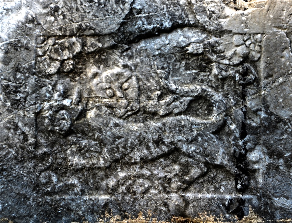 Hổ được chạm khắc đá trong thời Lê Mạc. Ảnh: Đông Sơn