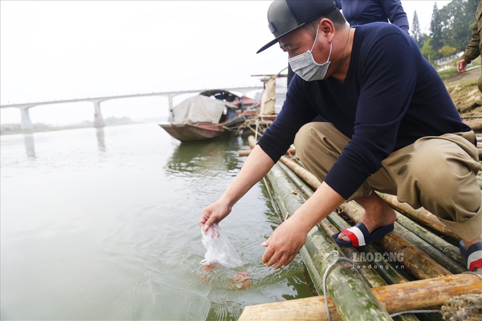 Bến đò cũ (phường Minh Xuân, T.P Tuyên Quang) và nhiều địa điểm thả cá ven sông Lô nhộn nhịp người qua lại trong ngày 23 tháng Chạp.