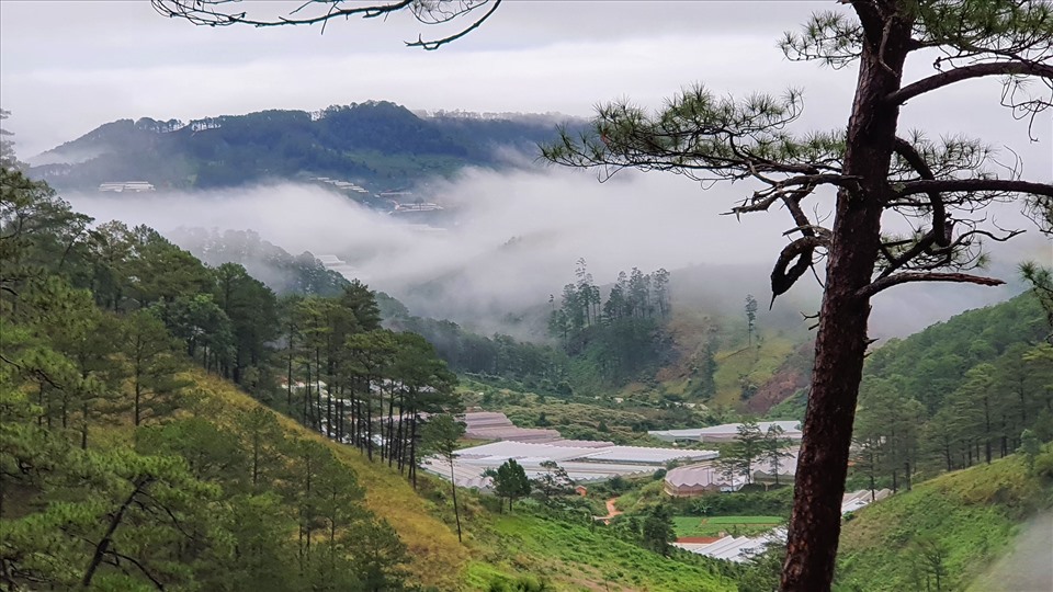 Du lịch nông trại, trải nghiệm thiên nhiêu hoang dã là những tour du lịch mới có lợi cho cả môi trường, du khách lẫn các nông hộ. Ảnh: Tr.Anh Tuấn