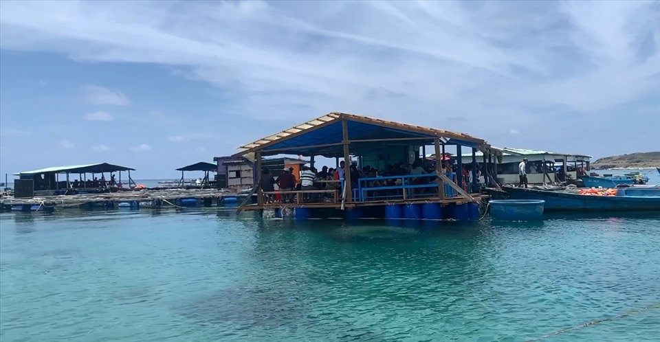 Các bè hải sản gần bờ ở Phú Quý thu hút du khách đến thưởng thức hải sản tươi ngon. Ảnh: DT