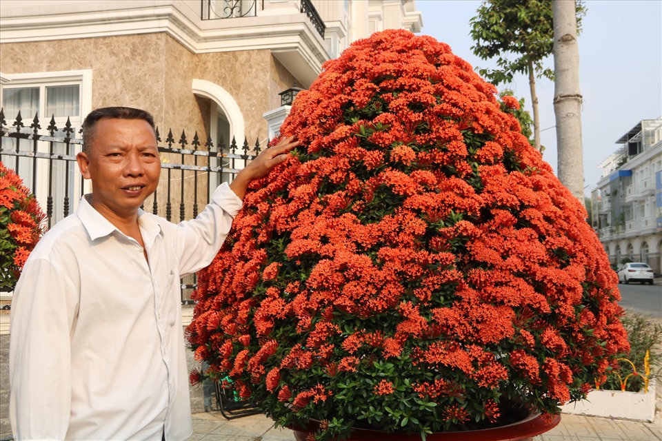 Với ông