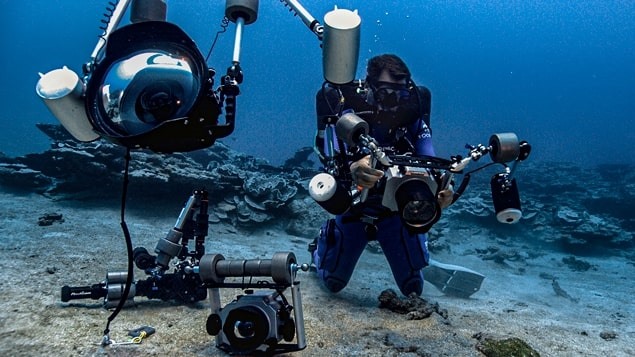 Những tiến bộ trong công nghệ máy ảnh và lặn đã giúp các nhà nghiên cứu dễ tiếp cận hơn với các rạn san hô ở sâu hơn dưới nước. Ảnh: UNESCO/Alexis Rosenfeld/1 Ocean