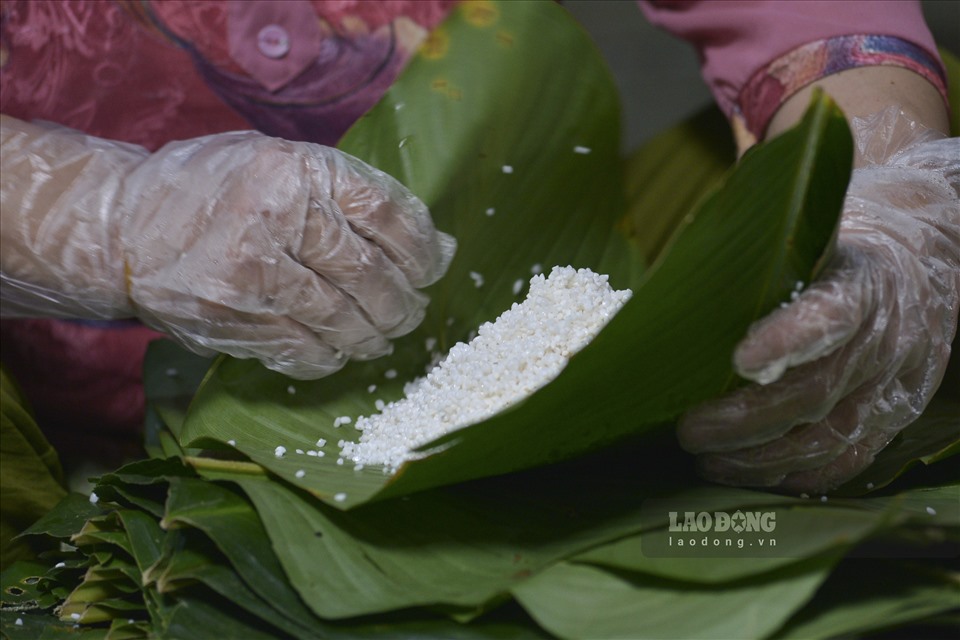 Gạo dùng để gói bánh phải là gạo nếp cái hoa vàng, bởi loại gạo này sẽ mang lại độ dẻo thơm cho bánh chưng. Trước khi bắt đầu gói bánh, gạo sẽ được ngâm, vo và rắc muối đầy đủ.