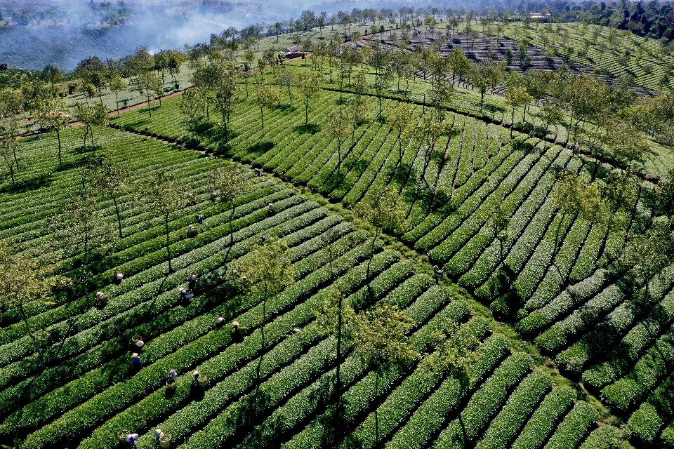 Bảo Lộc mở rộng không gian đô thị gắn với chỉnh trang các khu dân cư hiện hữu, nâng cao chất lượng tiêu chí về xây dựng đô thị văn minh. Ảnh Nguyễn Văn Triệu