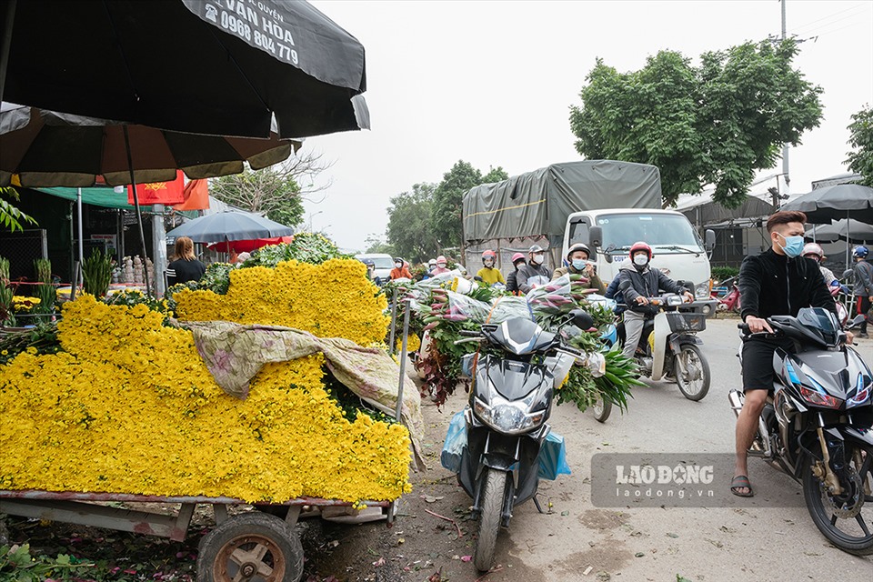 Chủ vườn hoa đang chất hoa lên xe để chờ về nhà. Làng hoa Mê Linh cũng bắt đầu nhộn nhịp, con đường đông đúc khách đến mua hoa.