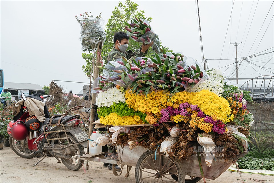 Chủ vườn hoa đang chất hoa lên xe để chờ về nhà. Làng hoa Mê Linh cũng bắt đầu nhộn nhịp, con đường đông đúc khách đến mua hoa.
