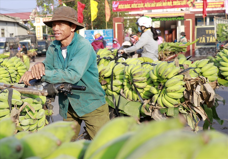 Còn ông Đoàn Văn Lành ở thôn Cổ Thành, xã Tân Thành, huyện Hướng Hóa mỗi ngày chở ra chợ 4 đến 5 chuyến xe môtô. Mỗi xe chở khoảng từ 5 đến 7 buồng chuối, bán mỗi xe khoảng 2 triệu đồng. “Thương lái ít hơn mọi năm nên giá cũng không cao” – ông Lành, cho biết.