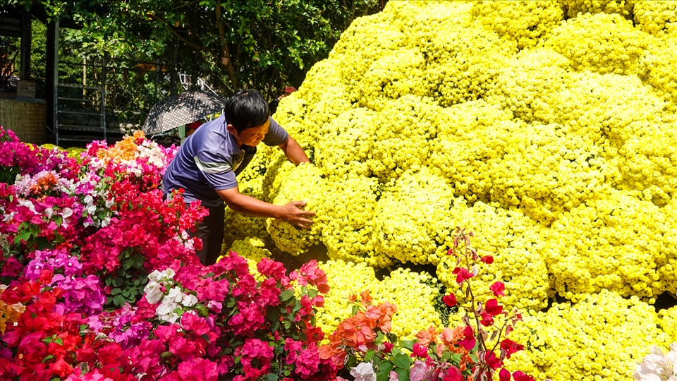 Trang trí thêm cho bó hoa khổng lồ thêm phần lộng lẫy, anh sử dụng hơn 100 chậu xương rồng bát tiên và hoa giấy để tô điểm cho bó hoa.