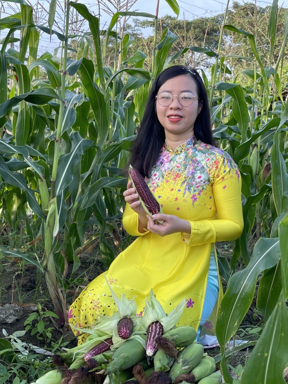 Thủ khoa gác chuyện du học trời Tây, về quê Ninh Thuận trồng giống bắp “lạ“. Ảnh: NVCC