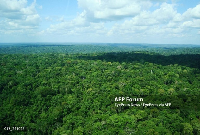 Rừng nhiệt đới Amazon là nơi đáng sợ như thế nào