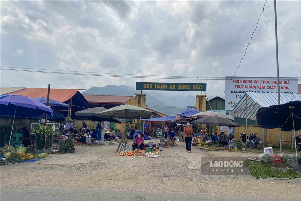 Ngày 30.1, PV Báo Lao Động có mặt tại chợ