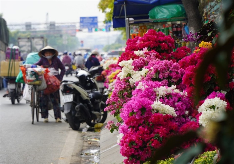 Hoa giấy được bày bán trên đường phố TPHCM Tết Nhâm Dần 2022. Ảnh: Tú Linh