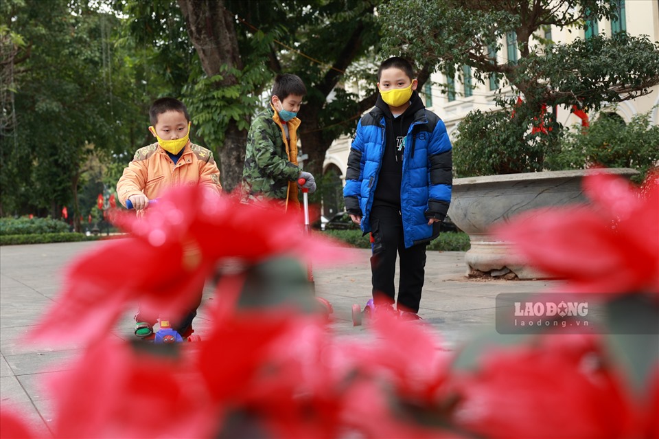 Một số người mua thêm Violet trang trí ngày đầu xuân.