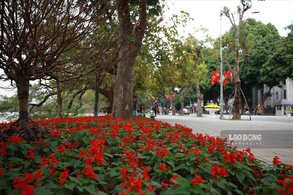 Bờ Hồ được trang trí rực rỡ sắc hoa.