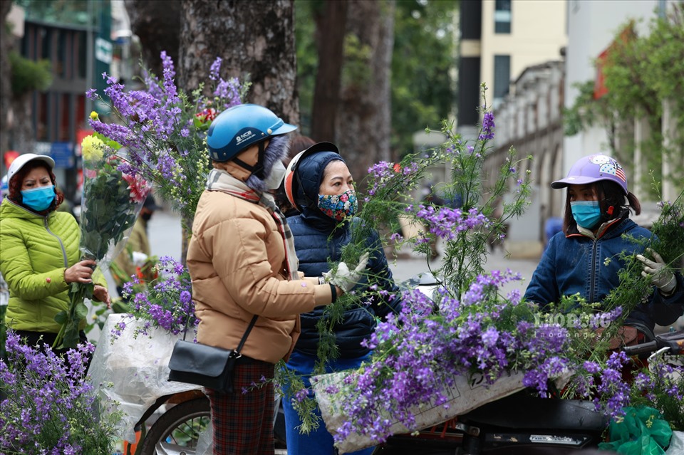 Một số người mua thêm Violet trang trí ngày đầu xuân.