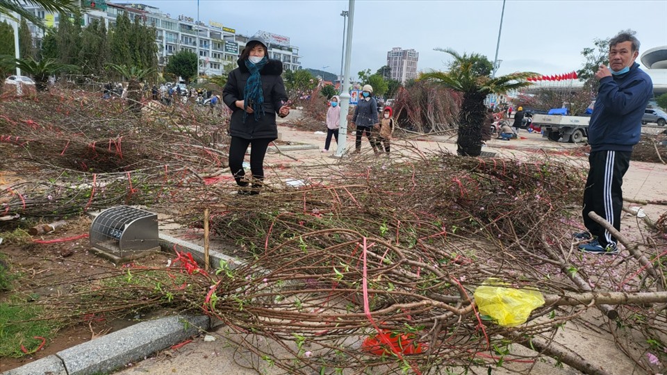 Đào bị bỏ lại la liệt tại chợ hoa Xuân Hạ Long chiều 31.1.2022. Ảnh: Nguyễn Hùng