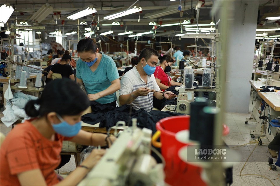 Nhằm phục vụ nhu cầu khôi phục, đẩy mạnh sản xuất dịp cuối năm, nhiều doanh nghiệp gia tăng tuyển dụng lao động. Ảnh: Hải Nguyễn