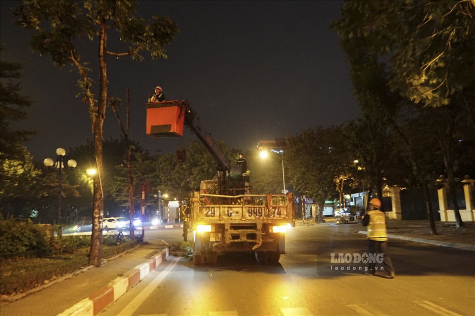 Theo ghi nhận của Lao Động, các đơn vị thi công đã tiến hành chặt hạ, cắt tỉa hàng cây xanh tại dải phân cách giữa đường Hoàng Quốc Việt, đồng thời di dời ngay trong đêm.