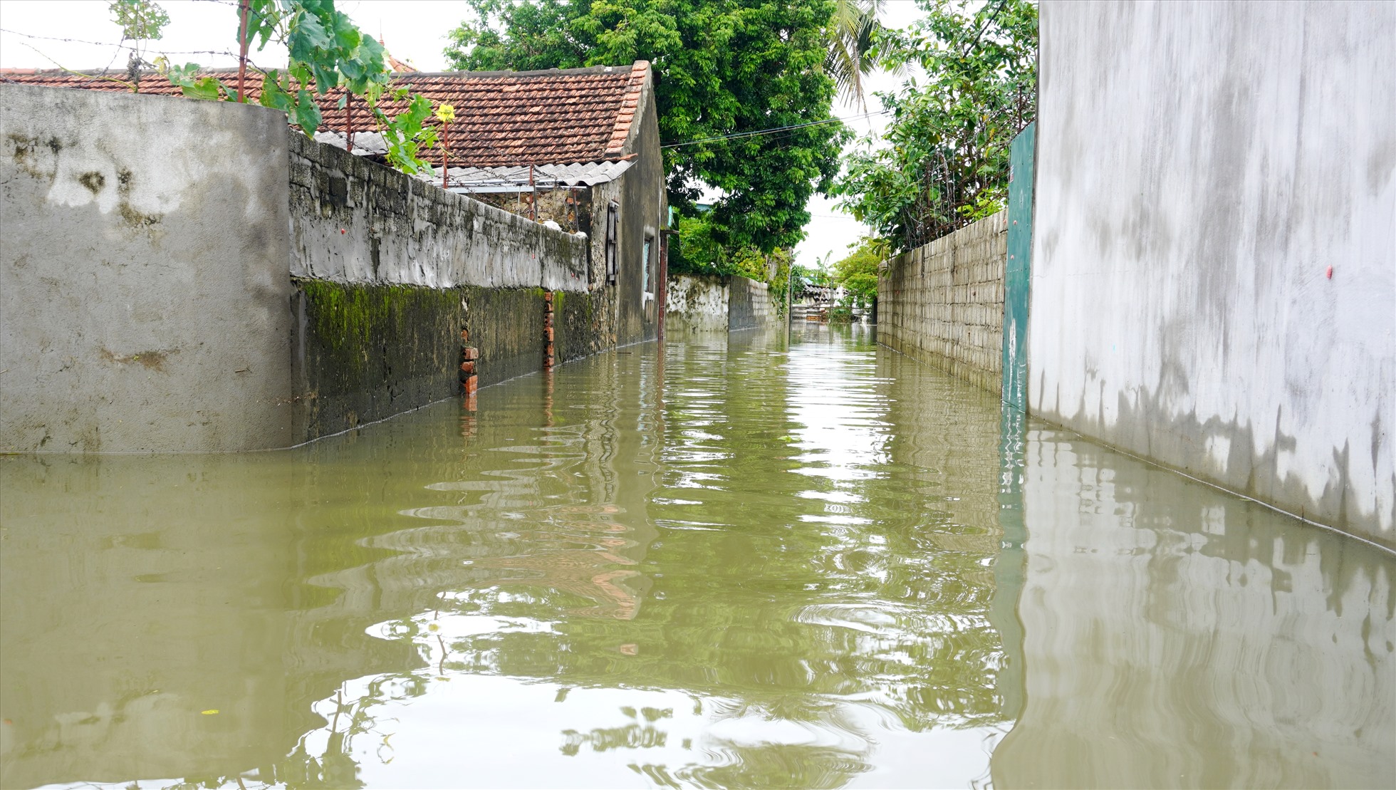 Được biết đến chiều ngày 1.10, tại huyện Quỳnh Lưu, tỉnh Nghệ An vẫn đang còn gần 3.000 hộ dân đang bị ngập trong nước lũ. Ảnh: T.Q.Đ