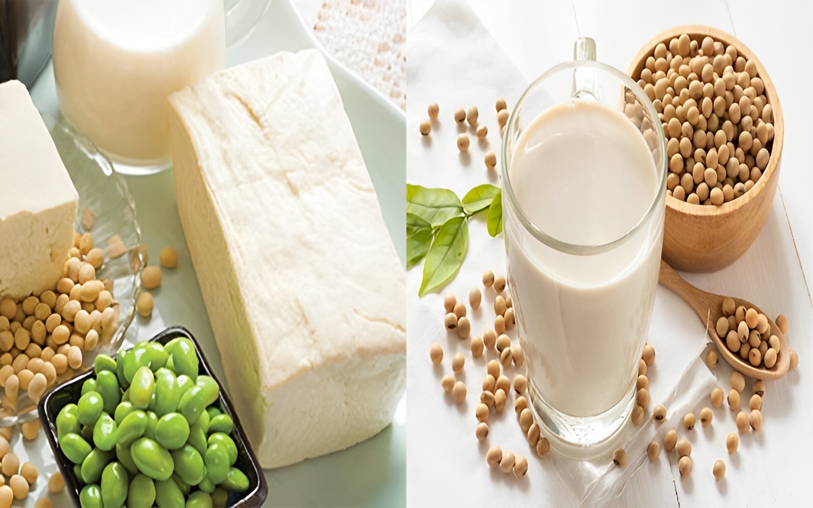 Đậu nành: Sữa đậu nành chứa hàm lượng vitamin E dồi dào, có khả năng thúc đẩy sự hình thành của tế bào mới. Đồng thời, nó còn bổ sung độ ẩm cho da, giúp da luôn mềm mại. Đặc biệt, trong sữa đậu nành còn có một lượng phytoestrogen giúp tăng sản xuất estrogen trong cơ thể. Từ đó, làm giảm sự xuất hiện của các nếp nhăn, nám và giúp da trắng sáng, mịn màng.