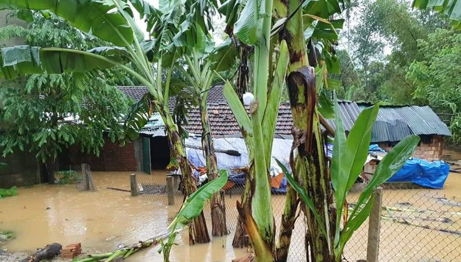 Nhà dân ở huyện Trà Bồng, tỉnh Quảng Ngãi ngập sâu trong nước lũ.