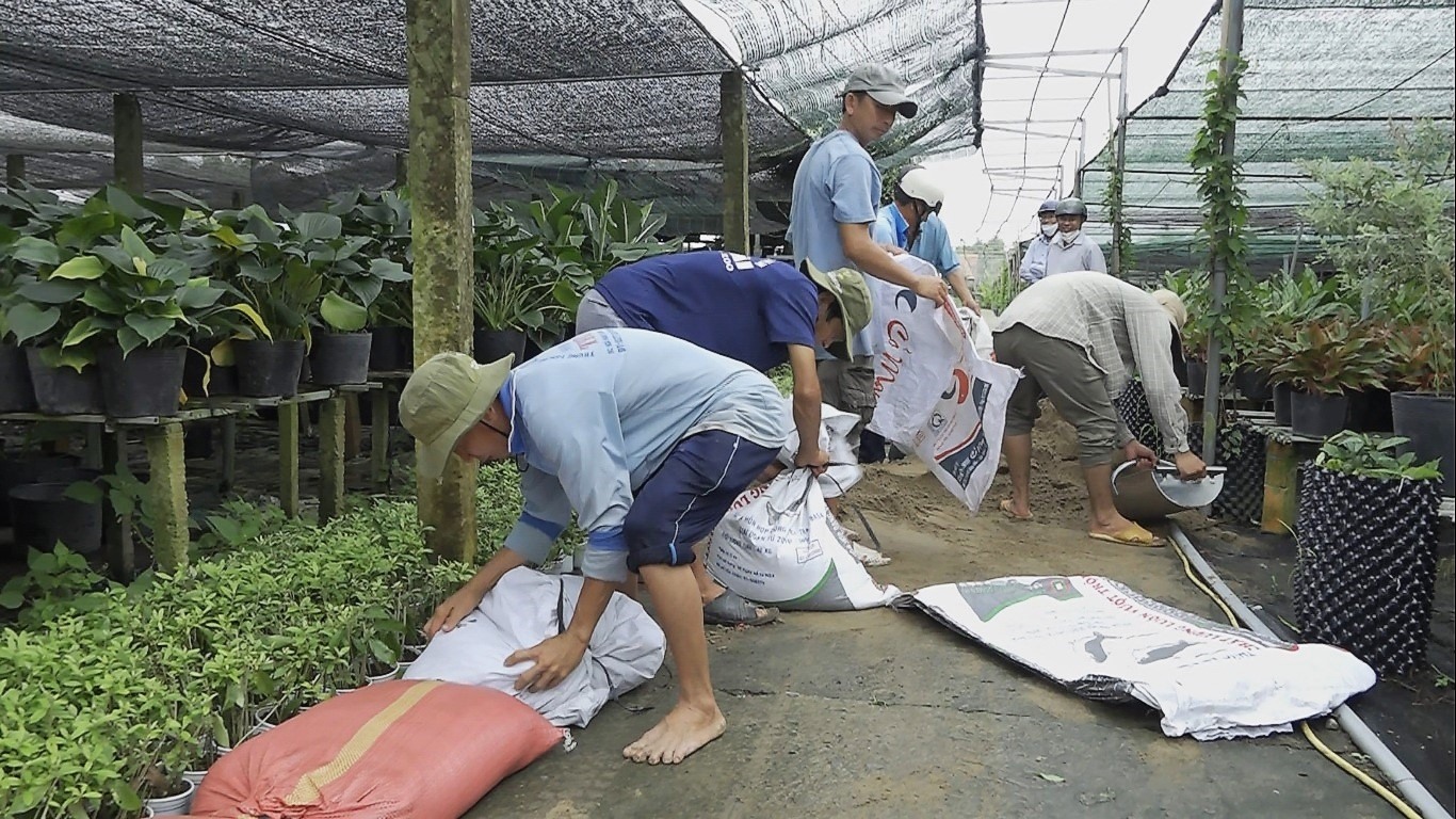 Bà con nông dân dùng bao cát ngăn không cho triều cường tràn qua các khu vực trồng hoa kiểng. Ảnh: Thanh Thanh