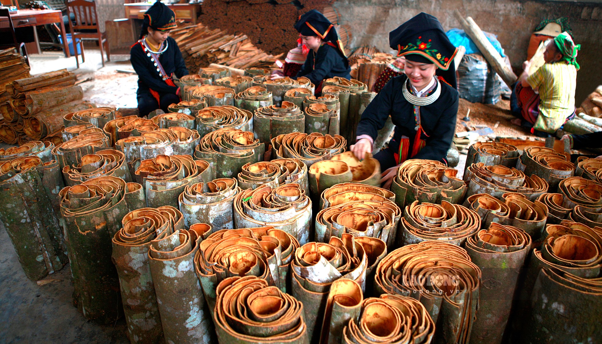 Đối với đồng bào Dao nơi đây, ông Sáu được coi là “Ông tổ” trong nghề trồng quế và suy tôn ông là Thành Hoàng làng và được thờ trong đình Tháp Cái.