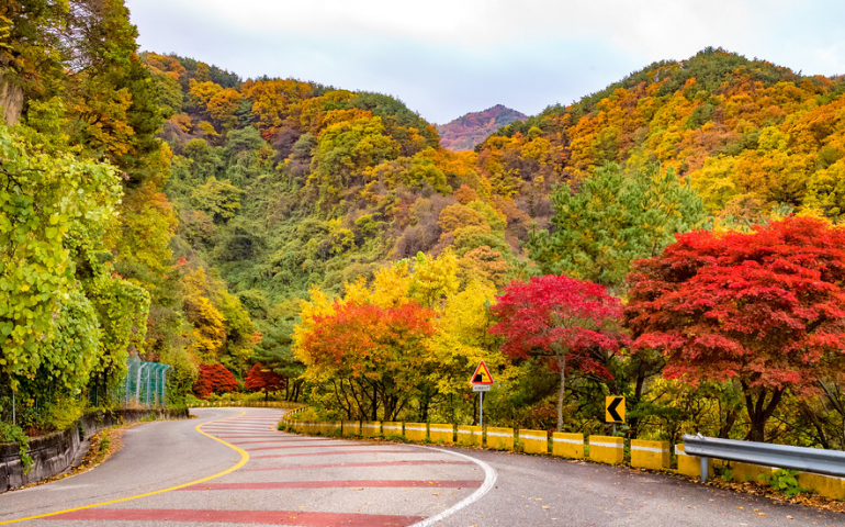 Hai bên sườn đồi của núi Jirisan được bao phủ bởi đa dạng sắc màu Ảnh: Visit Korea