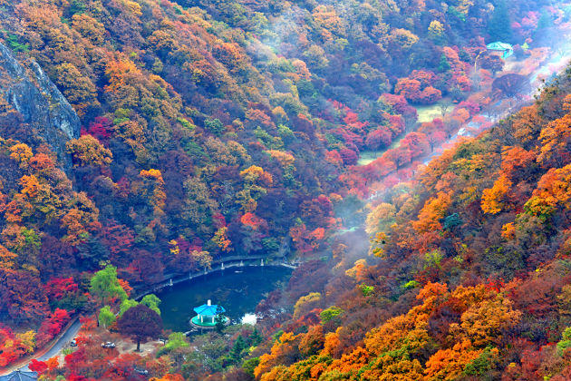 Cảnh sắc núi Naejangsan mùa chuyển sắc vàng sắc đỏ nhìn từ trên cao Ảnh: Visit Korea