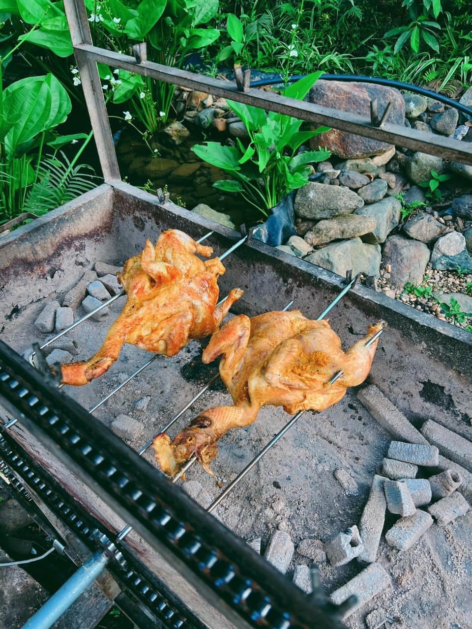 Đồ ăn do du khách tự mang theo hoặc homestay chuẩn bị.
