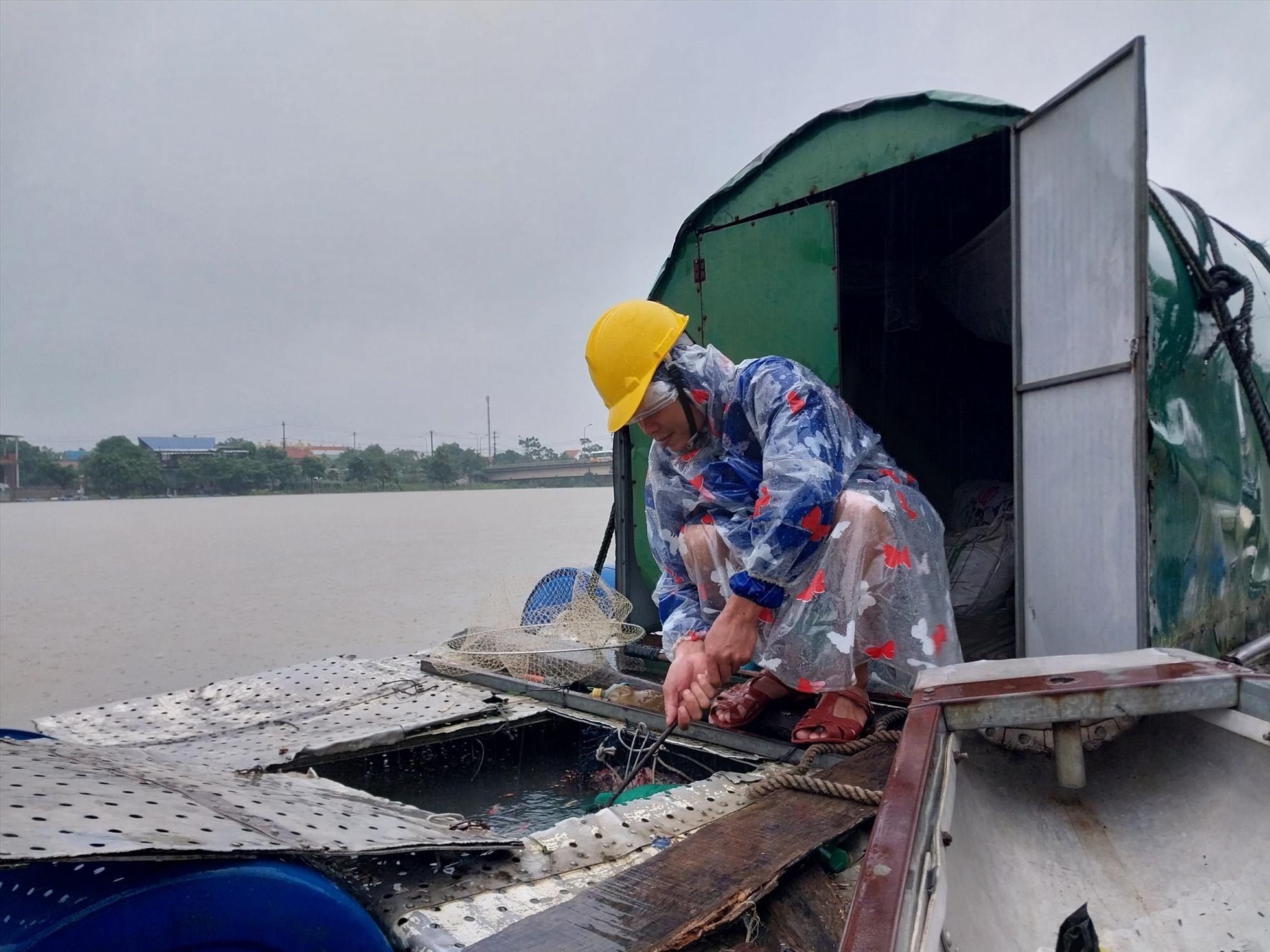 Theo Sở Nông nghiệp và Phát triển nông thôn (NN&PTNT), hiện còn hơn 1.860 ha diện tích ao nuôi trồng thủy sản (trên tổng số hơn 6.660 ha toàn tỉnh), hơn 2.800 lồng cá nuôi và hơn 2.500 ha sắn, rau vụ đông chưa thu hoạch tập trung nhiều ở các địa phương Quảng Điền, Phong Điền, Hương Trà. Sở đã chỉ đạo các địa phương thu hoạch thủy sản thương phẩm và ứng phó với mưa bão, lũ lụt, đồng thời đã kiểm tra thực tế chỉ đạo công tác neo các lồng nuôi đảm bảo an toàn.