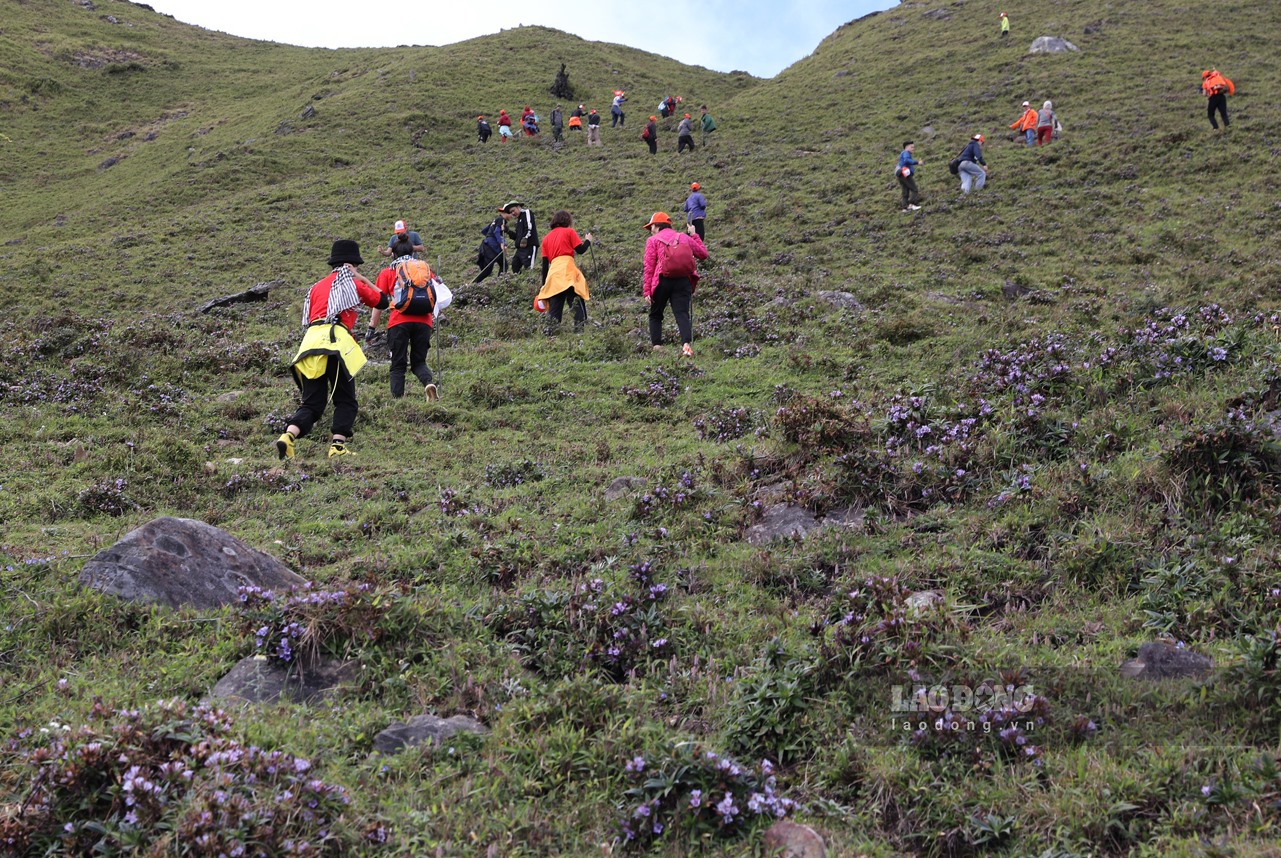 Mỗi đoàn leo núi sẽ có porter dẫn đường người địa phương, thông thạo địa hình.