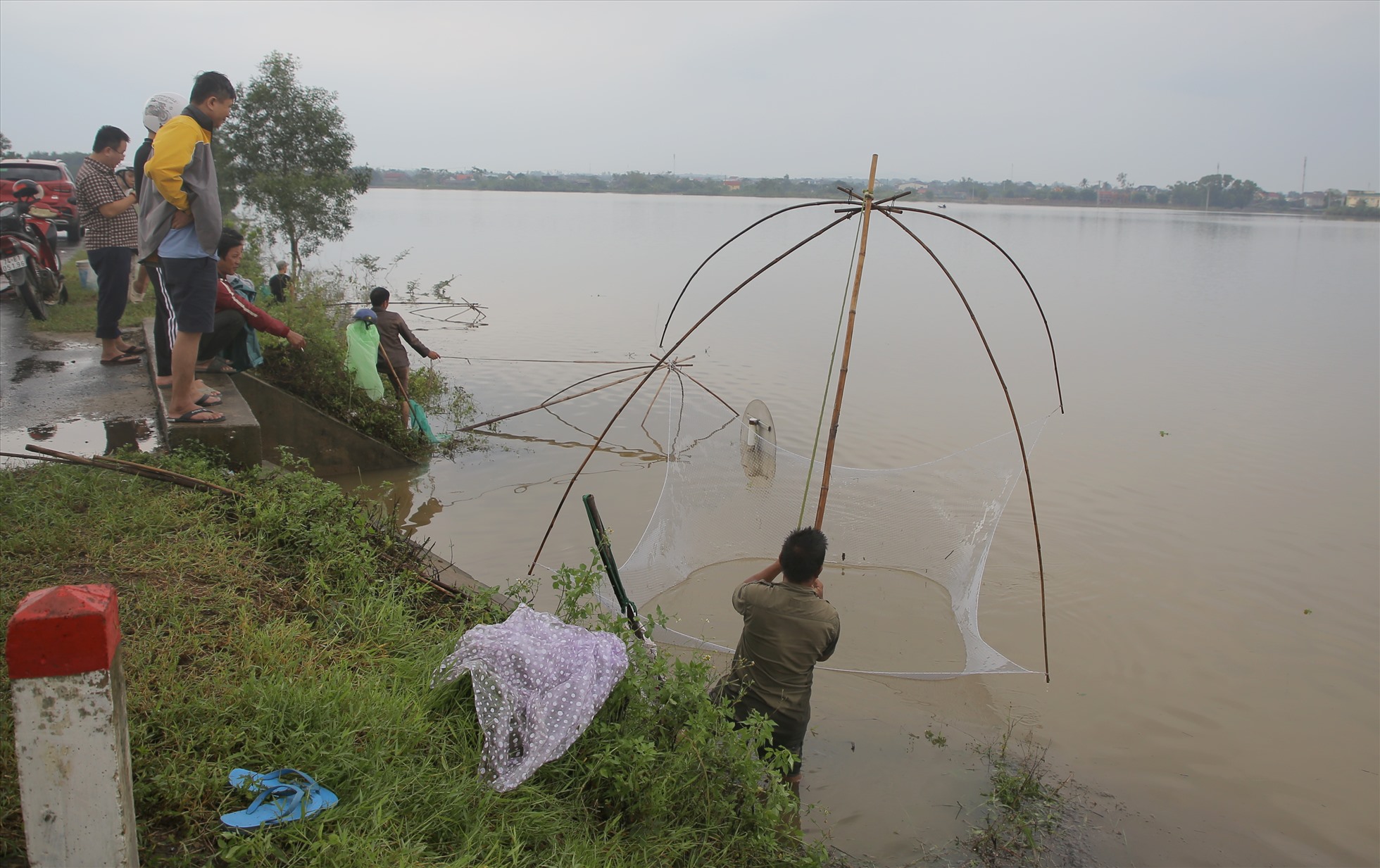 Tại thị xã Quảng Trị, nhiều người dân ra đồng cất rớ để bắt cá. Theo dòng nước lũ, nhiều loại cá di chuyển về đây, nên cất rớ cũng bắt được kha khá.