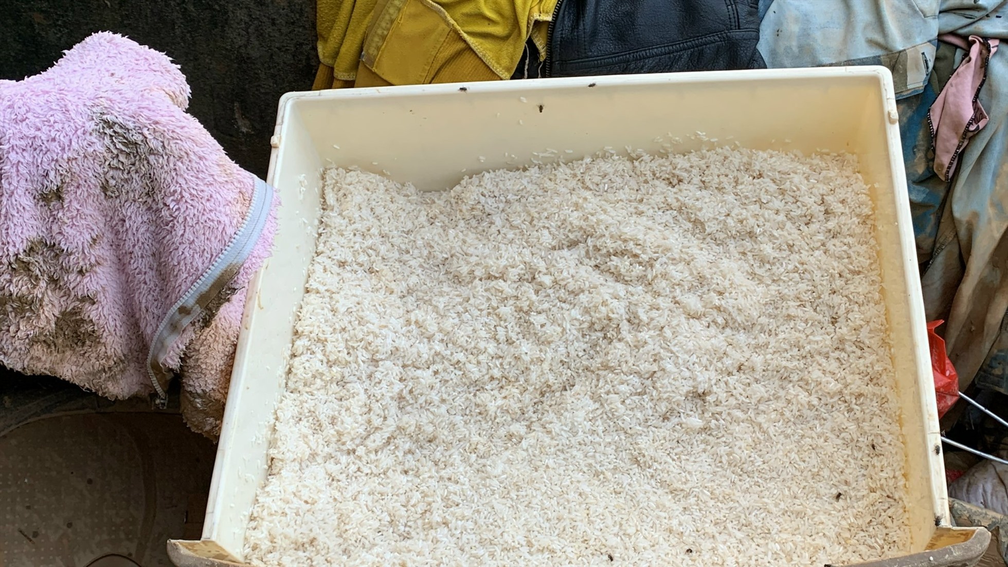 Bởi những hạt gạo ít ỏi đã bị nước lũ làm ẩm mốc phải chờ nắng lên để hong khô