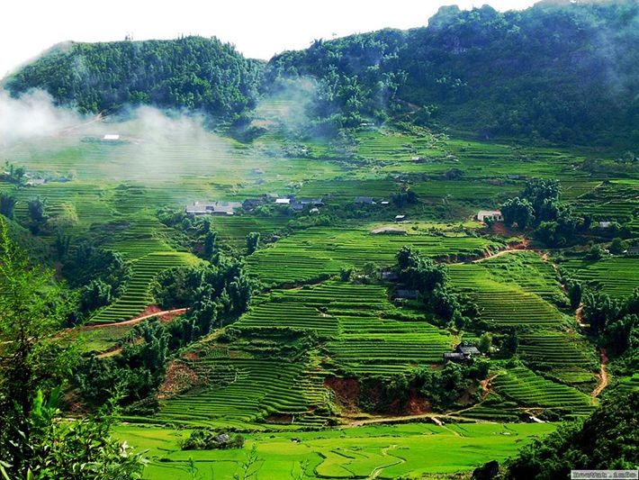 Cao nguyên Mộc Châu. Ảnh: Mytour