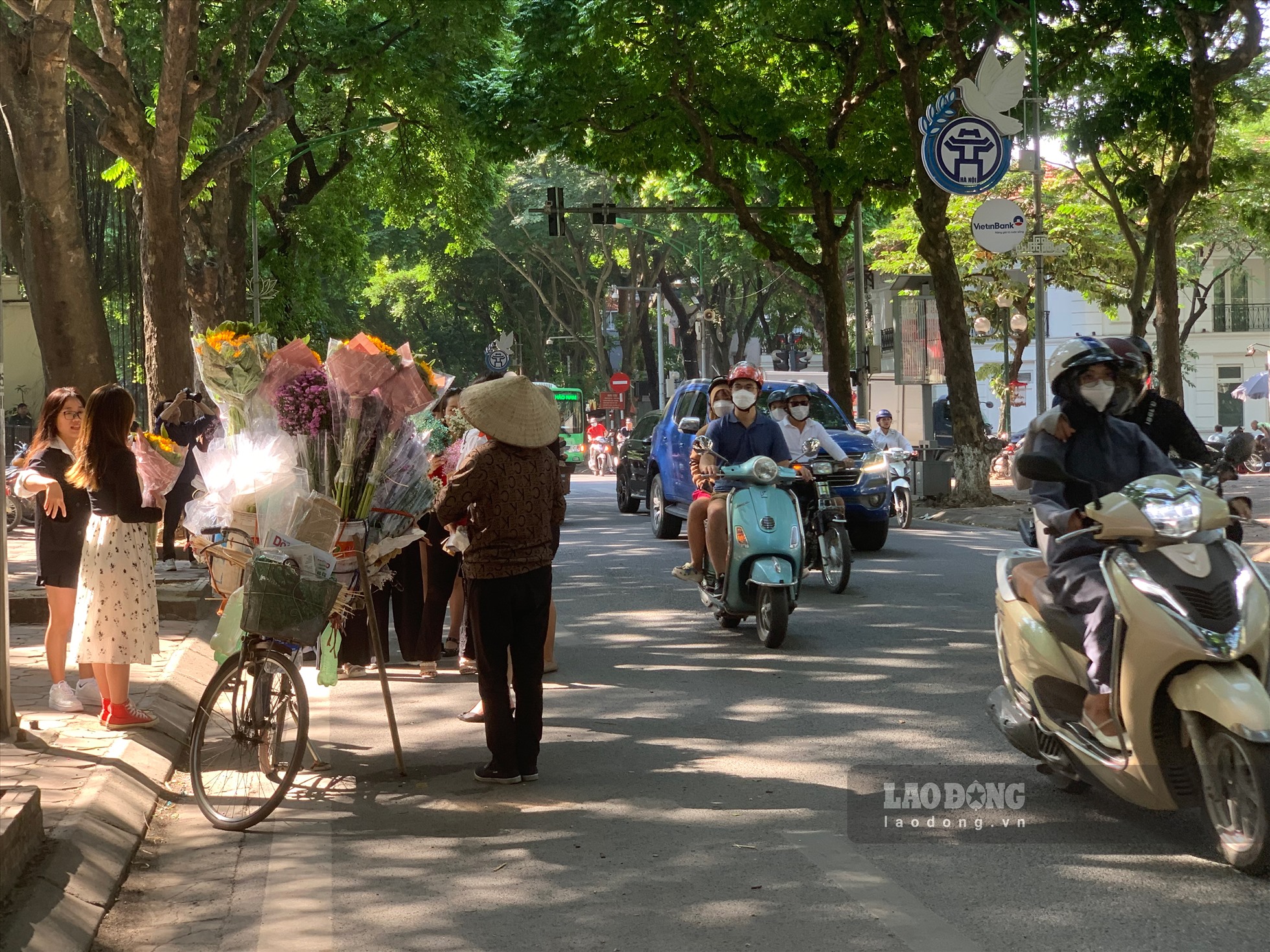 Trời thu, bầu không khí càng thêm trong trẻo dưới ánh nắng vàng dịu nhẹ hắt qua hàng cổ thụ.