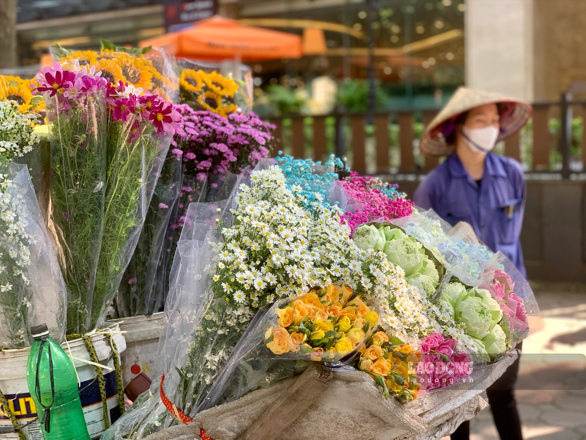 Xe hoa tô điểm thêm nét thơ cho con đường. Mùa này đã có những bó cúc họa mi nở sớm xuống phố, bên cạnh đó là sen, thạch thảo, hướng dương, cánh bướm.... Mỗi bó bó giá từ 30.000 - 120.0000 đồng một bó.