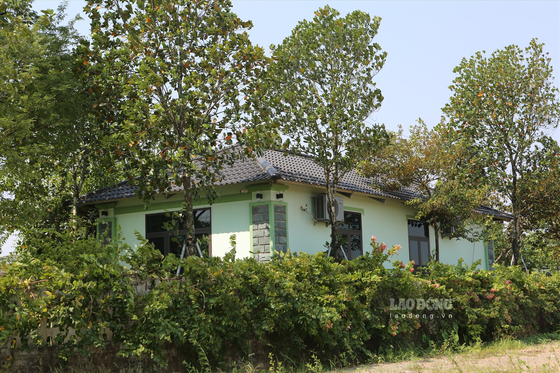 Những ngôi nhà xây kiên cố trong trang trại của các hộ gia đình.