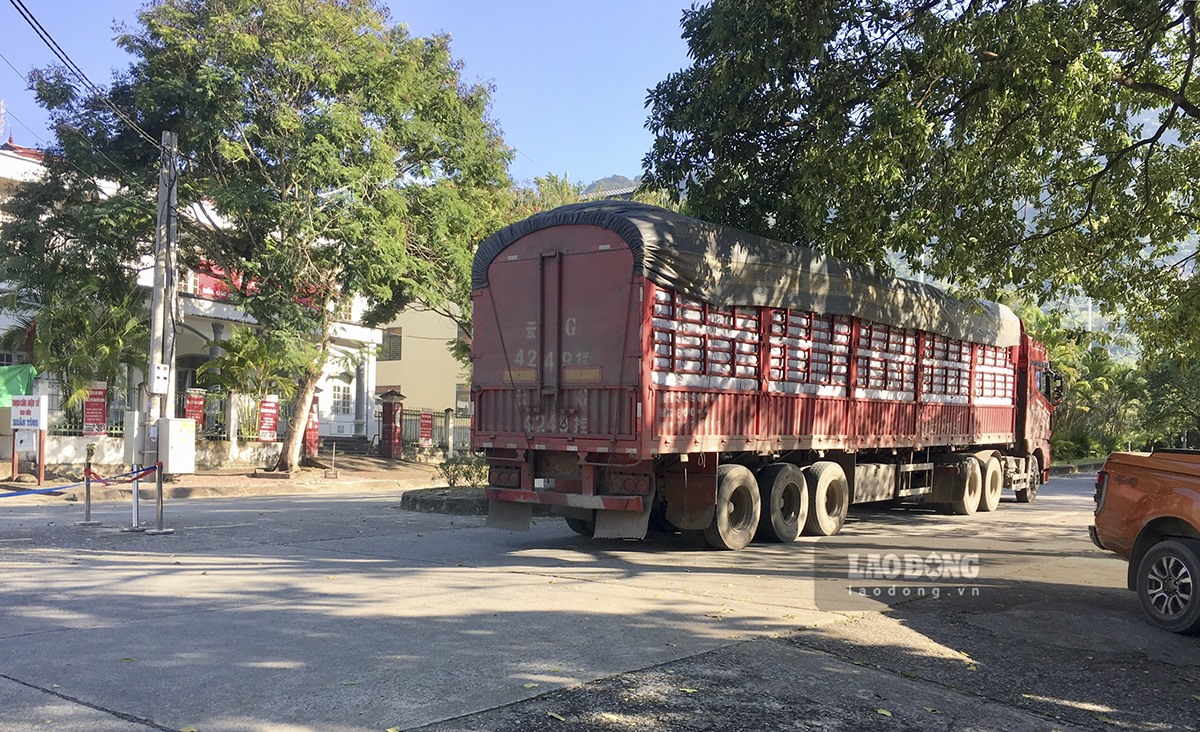 Ngày 18.10, theo ghi nhận của PV, suốt đoạn đường từ trung tâm huyện Phong Thổ vào đến Cửa khẩu Ma Lù Thàng chỉ bắt gặp 1 chiếc xe tải.