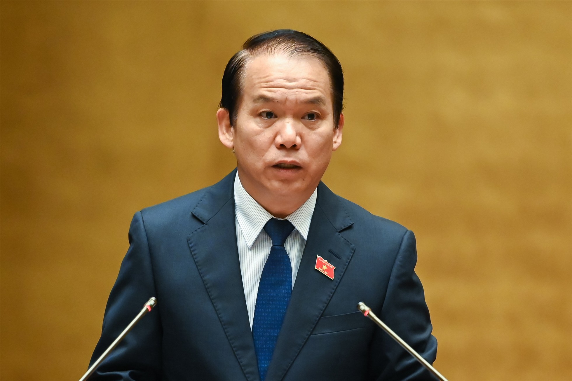 Chủ nhiệm Ủy ban Pháp luật của Quốc hội Hoàng Thanh Tùng.