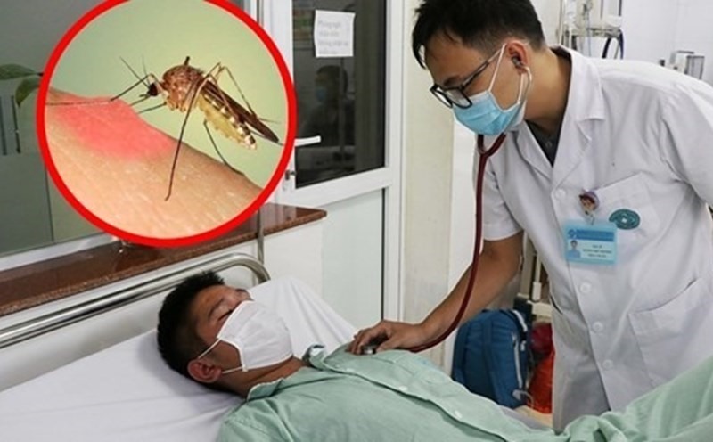 Số ca nhập viện do sốt xuất huyết tăng vọt, người dân không nên chủ quan