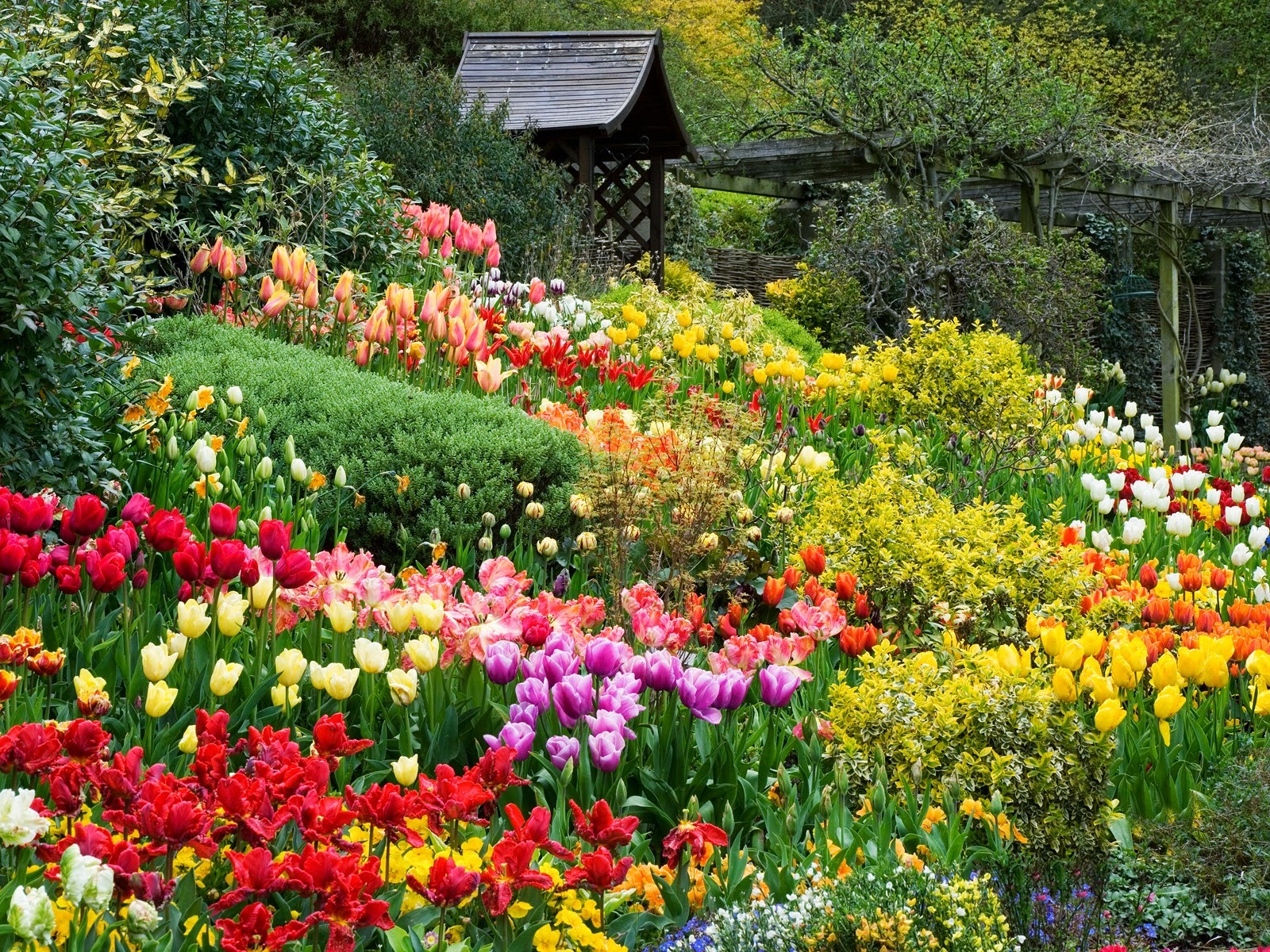 Top 5 Vườn hoa Đà Lạt đẹp nhất Tháng Năm và tháng Sáu