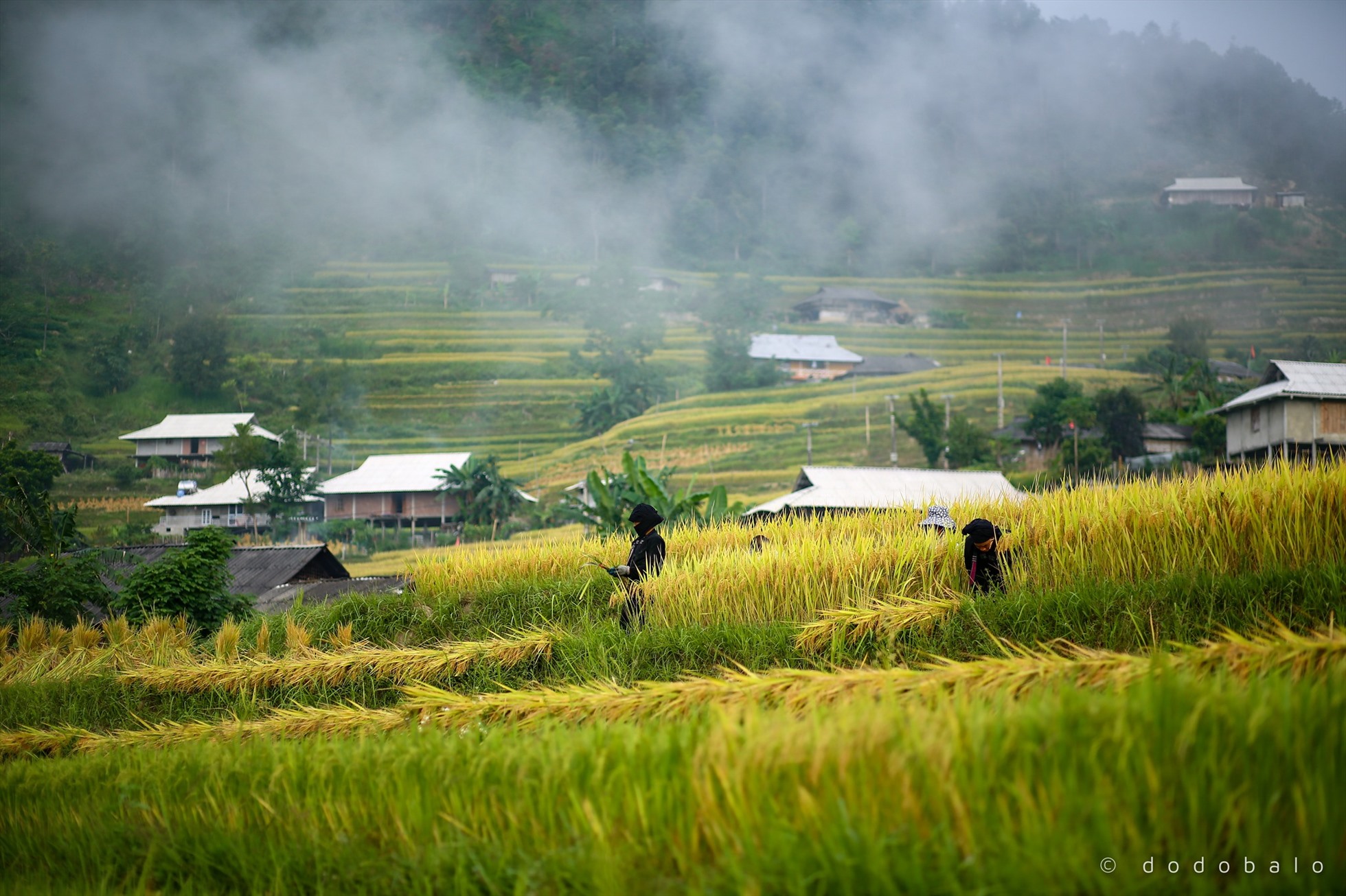 Cũng như nhiều dân tộc thiểu số khác, người La Chí trồng ruộng bậc thang, giữ gìn các nét văn hóa truyền thống tốt đẹp thông qua các hoạt động sống và sinh hoạt hàng ngày. Ảnh: Đô Đô